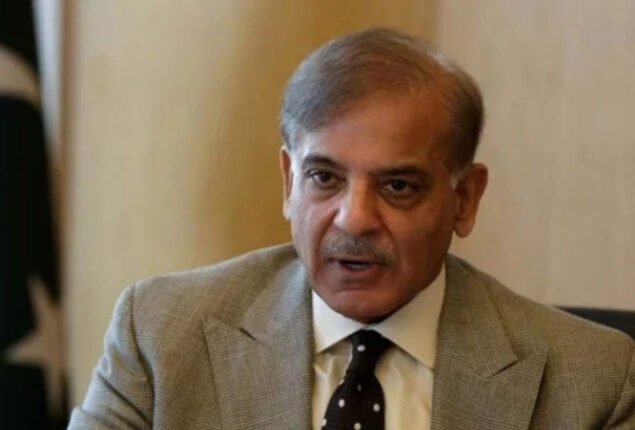 Shehbaz Sharif chairs PML-N consultation meeting