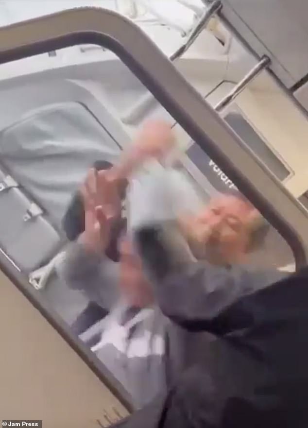 Moment passengers wrestle married father as he tries to hijack plane by lunging at flight attendant and attempting to storm cockpit