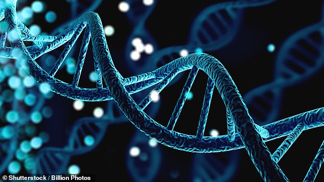 Scientists issue an urgent warning over lab-made 'mirror bacteria' that could wipe out mankind
